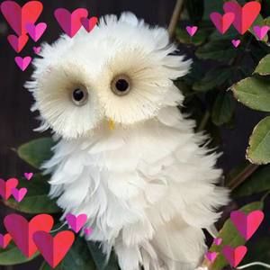 Meet your Posher, Francisca